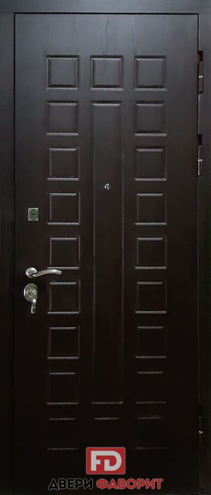 стальная дверь в квартиру вид снаружи