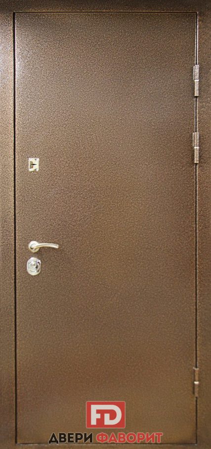 металлическая дверь окрашена коричневым цинкогрунтом